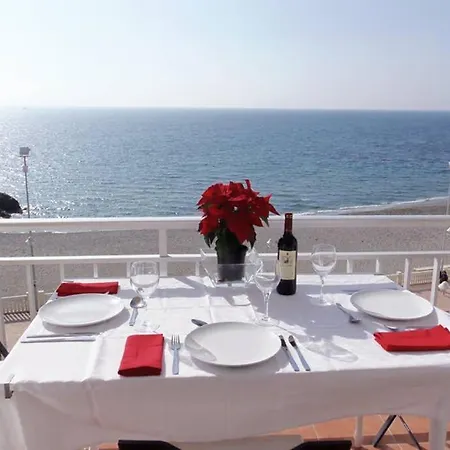 Arce Nsf M- Torrecilla