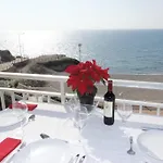 Arce Nsf M- Torrecilla * نيرخا