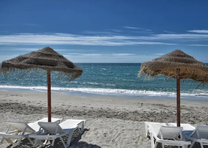 Arce Nsf M- Torrecilla * Nerja